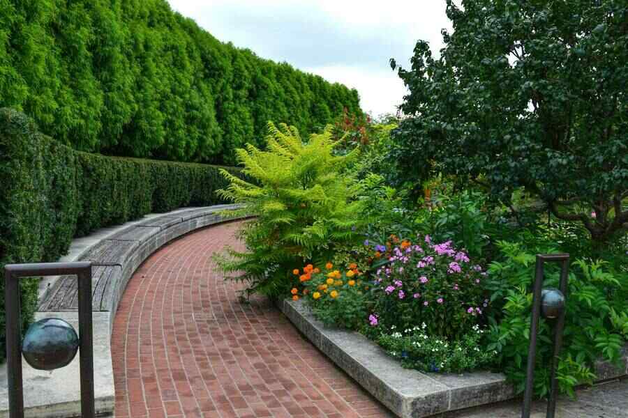 Brick path and perennial beds, Chapel Hill