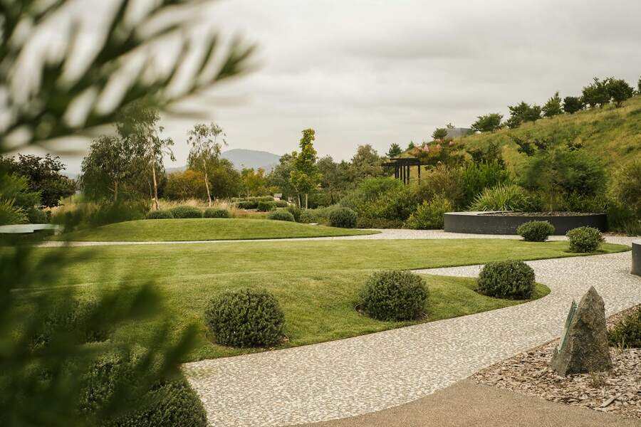 Lawn and shrub care, Raleigh